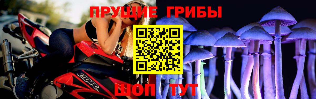 Галлюциногенные грибы прущие грибы Морозовск
